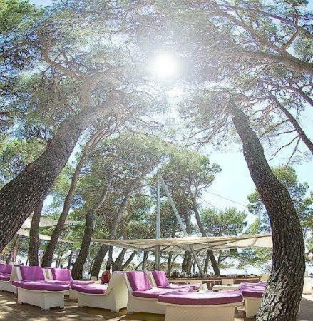 Apartmani Baska Voda Lägenhet *